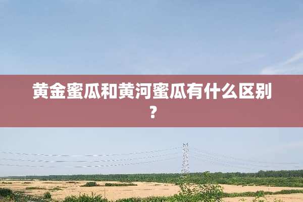 黄金蜜瓜和黄河蜜瓜有什么区别？