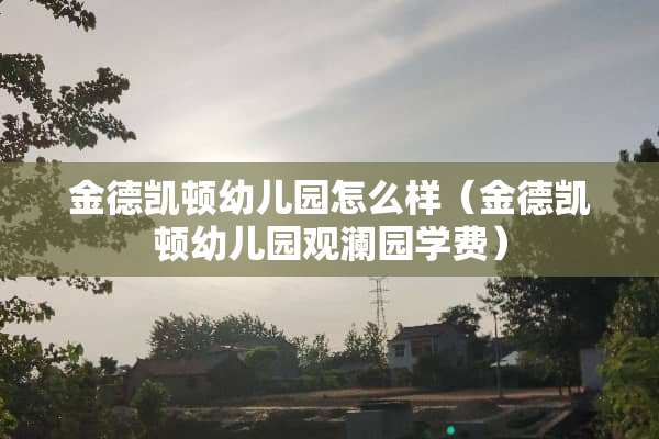 金德凯顿幼儿园怎么样（金德凯顿幼儿园观澜园学费）