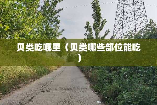 贝类吃哪里（贝类哪些部位能吃）