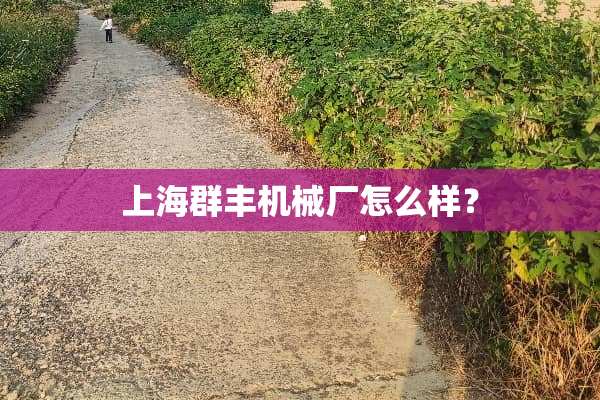 上海群丰机械厂怎么样？