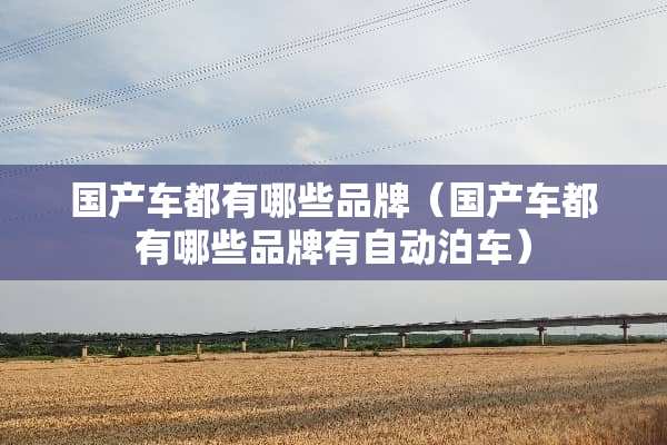 国产车都有哪些品牌（国产车都有哪些品牌有自动泊车）