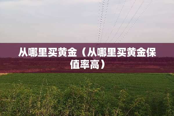 从哪里买黄金（从哪里买黄金保值率高）