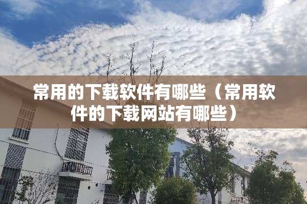 常用的下载软件有哪些（常用软件的下载网站有哪些）