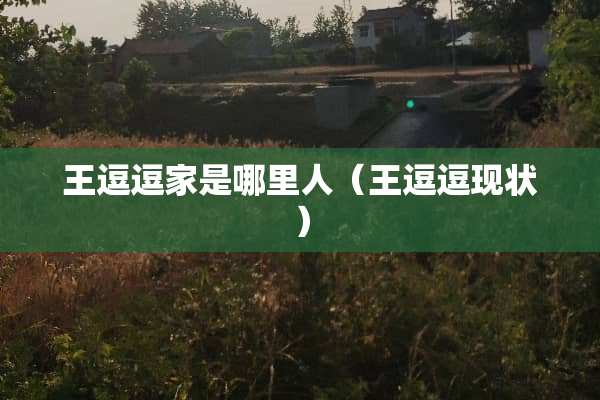王逗逗家是哪里人（王逗逗现状）