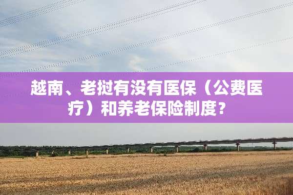 越南、老挝有没有医保（公费医疗）和养老保险制度？
