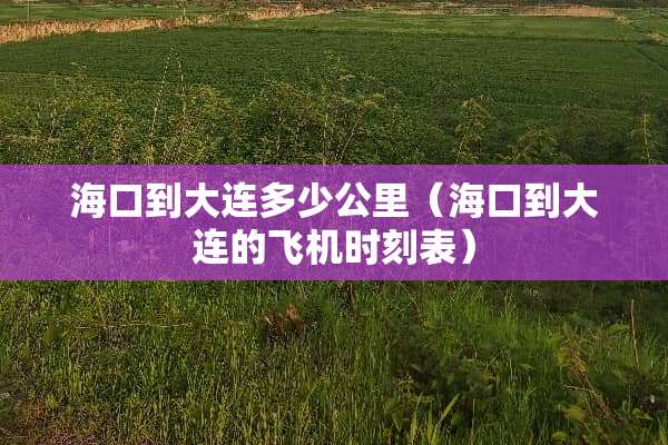 海口到大连多少公里（海口到大连的飞机时刻表）