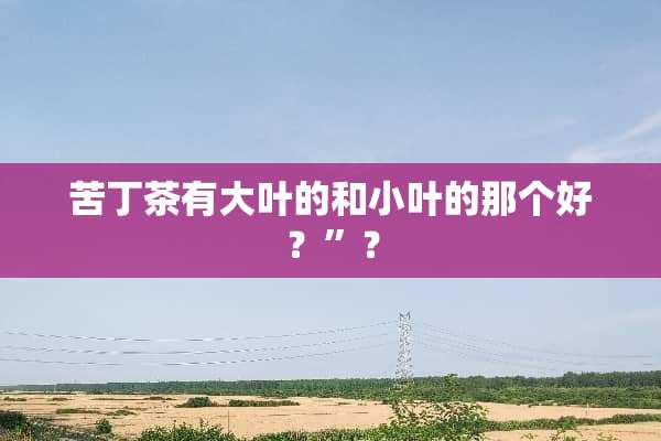 苦丁茶有大叶的和小叶的那个好？”？