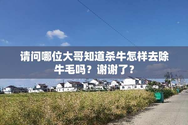 请问哪位大哥知道杀牛怎样去除牛毛吗？谢谢了？