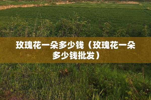 玫瑰花一朵多少钱（玫瑰花一朵多少钱批发）