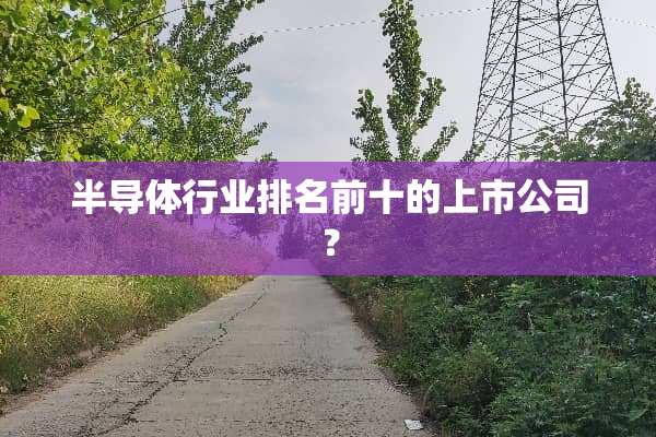 半导体行业排名前十的上市公司？