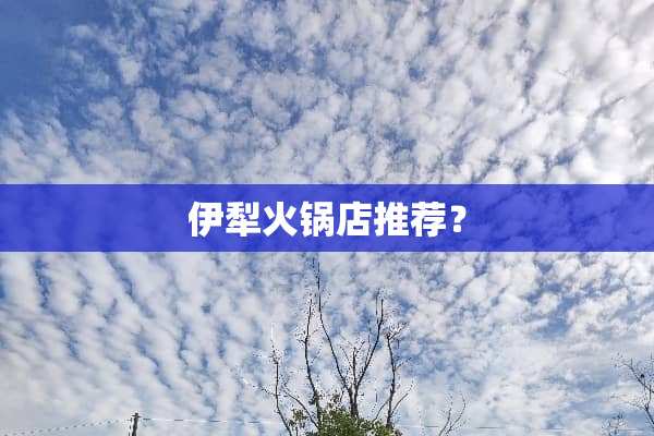 伊犁火锅店推荐？