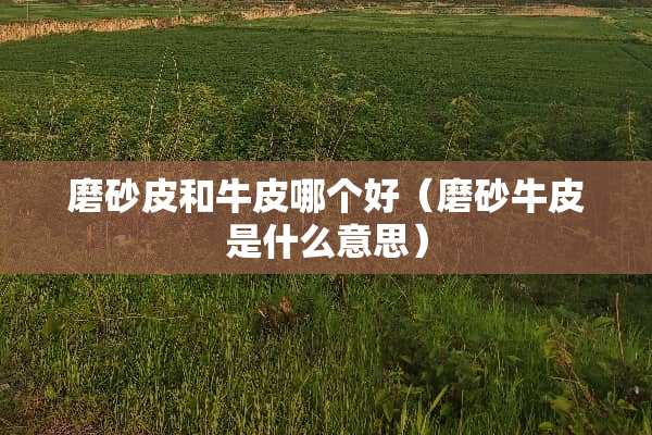 磨砂皮和牛皮哪个好（磨砂牛皮是什么意思）