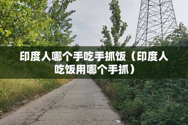 印度人哪个手吃手抓饭（印度人吃饭用哪个手抓）