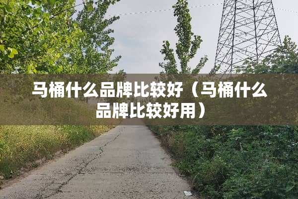 马桶什么品牌比较好（马桶什么品牌比较好用）