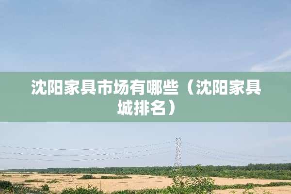 沈阳家具市场有哪些（沈阳家具城排名）