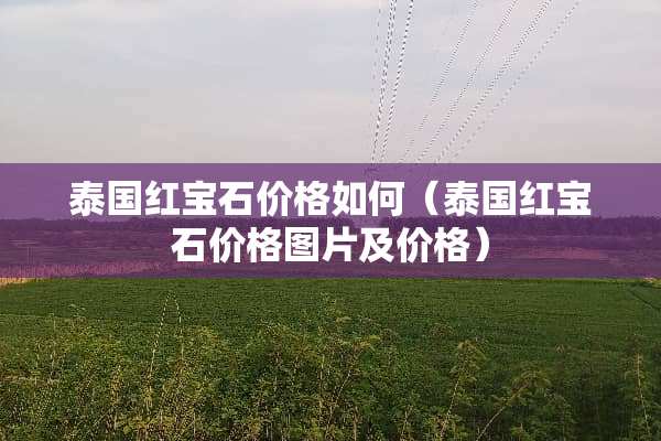 泰国红宝石价格如何（泰国红宝石价格图片及价格）