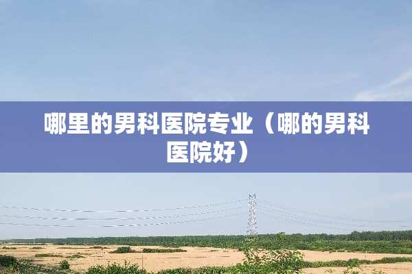 哪里的男科医院专业（哪的男科医院好）