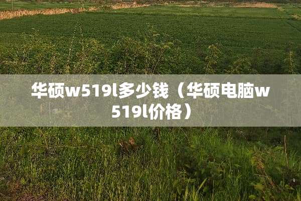华硕w519l多少钱（华硕电脑w519l价格）