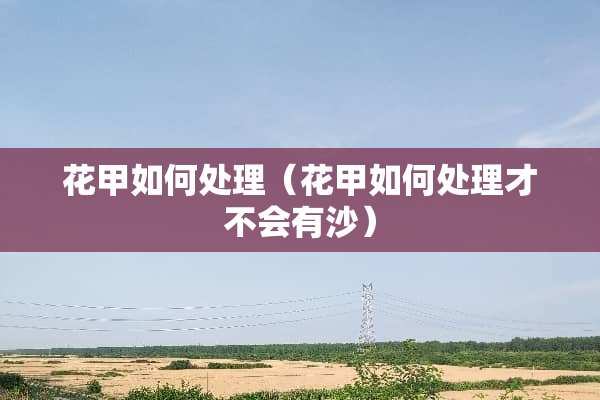 花甲如何处理（花甲如何处理才不会有沙）