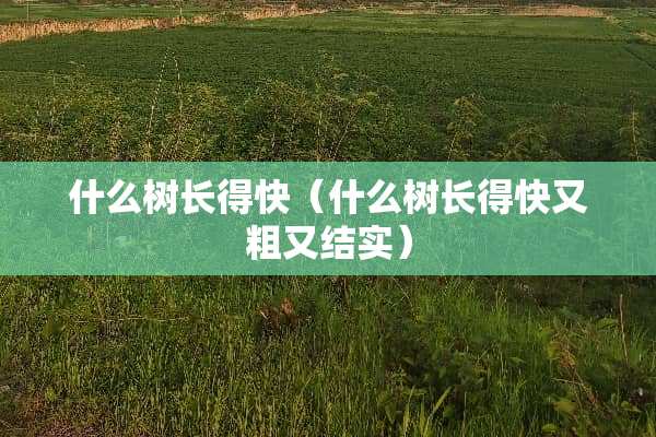 什么树长得快（什么树长得快又粗又结实）