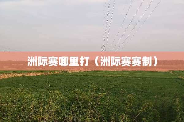 洲际赛哪里打（洲际赛赛制）