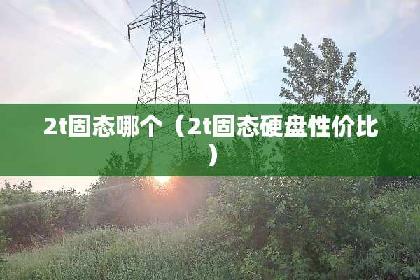 2t固态哪个（2t固态硬盘性价比）
