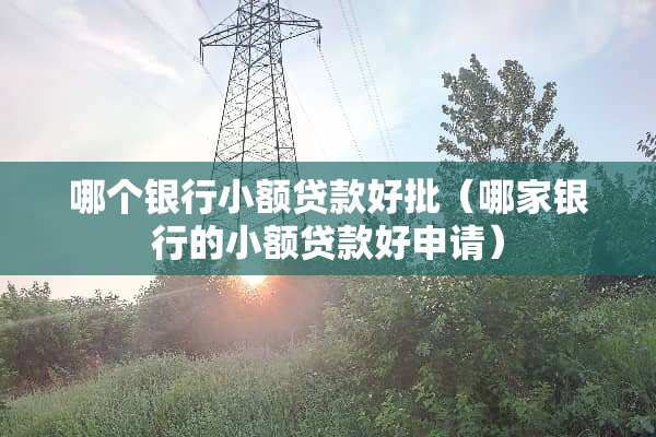 哪个银行小额贷款好批（哪家银行的小额贷款好申请）