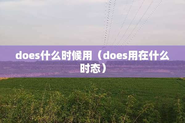does什么时候用（does用在什么时态）