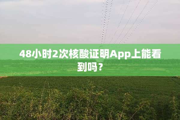 48小时2次核酸证明App上能看到吗？