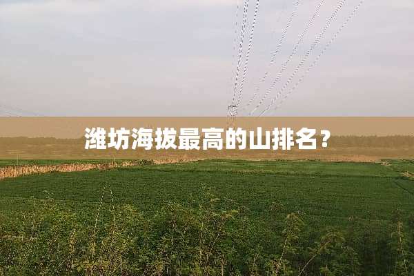 潍坊海拔最高的山排名？