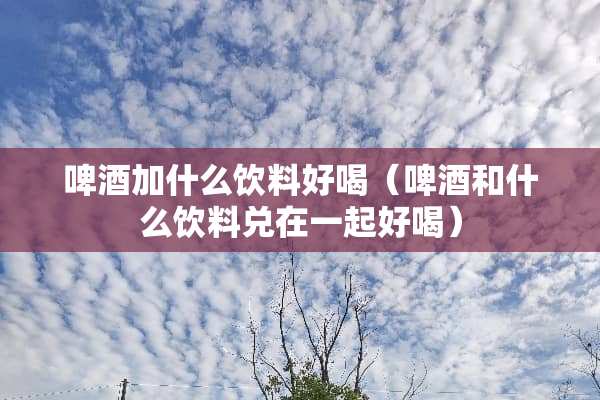 啤酒加什么饮料好喝（啤酒和什么饮料兑在一起好喝）
