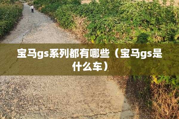 宝马gs系列都有哪些（宝马gs是什么车）