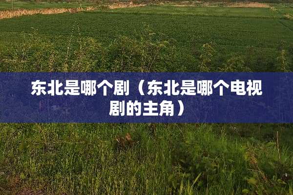 东北是哪个剧（东北是哪个电视剧的主角）
