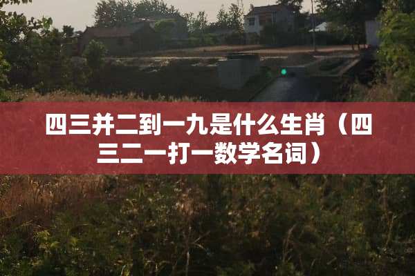 四三并二到一九是什么生肖（四三二一打一数学名词）