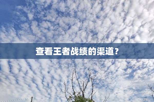 查看王者战绩的渠道？
