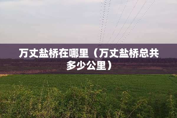 万丈盐桥在哪里（万丈盐桥总共多少公里）