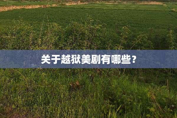 关于越狱美剧有哪些？