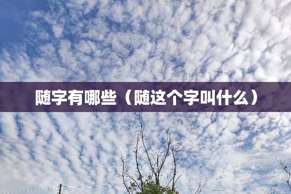 随字有哪些（随这个字叫什么）