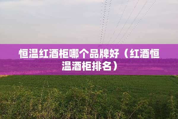 恒温红酒柜哪个品牌好（红酒恒温酒柜排名）