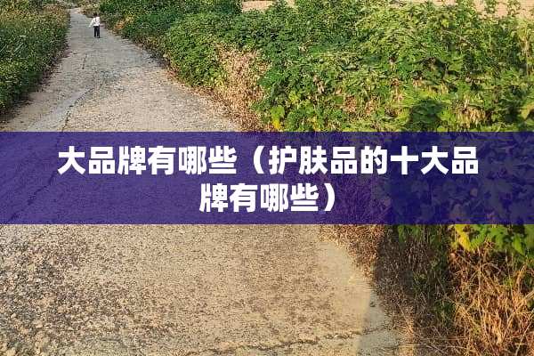 大品牌有哪些（护肤品的十大品牌有哪些）