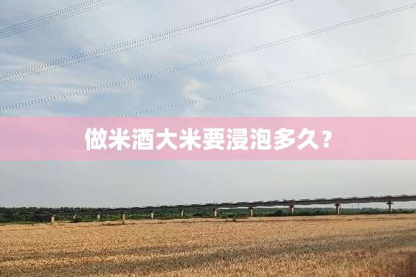 做米酒大米要浸泡多久？