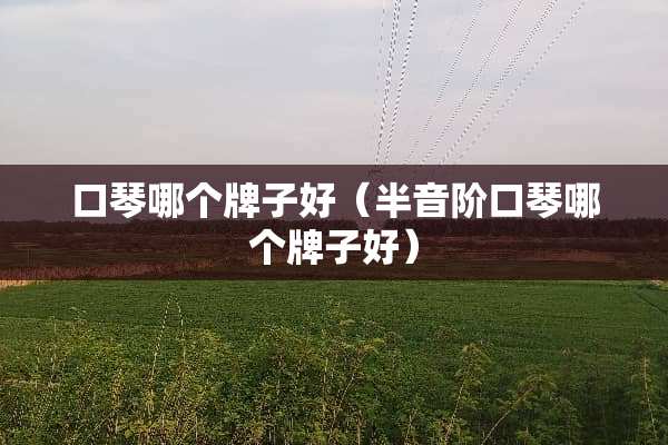 口琴哪个牌子好（半音阶口琴哪个牌子好）