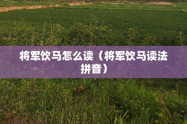 将军饮马怎么读（将军饮马读法拼音）