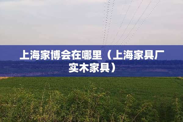 上海家博会在哪里（上海家具厂实木家具）