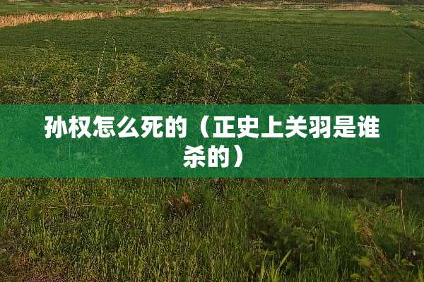 孙权怎么死的（正史上关羽是谁杀的）