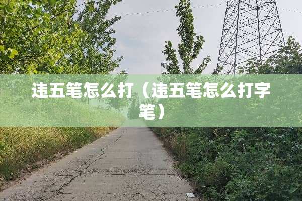 违五笔怎么打（违五笔怎么打字笔）