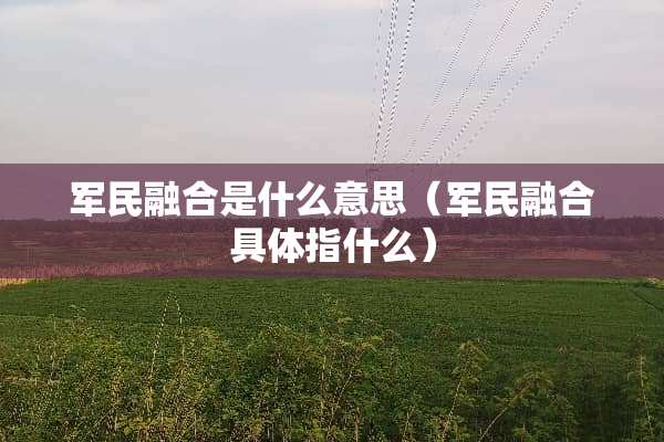 军民融合是什么意思（军民融合具体指什么）