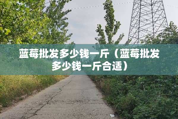 蓝莓批发多少钱一斤（蓝莓批发多少钱一斤合适）