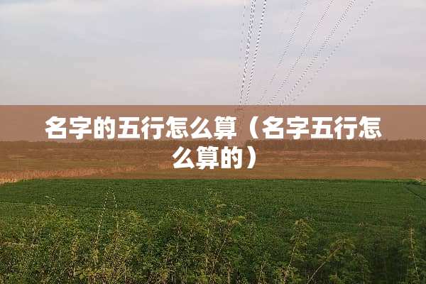 名字的五行怎么算（名字五行怎么算的）