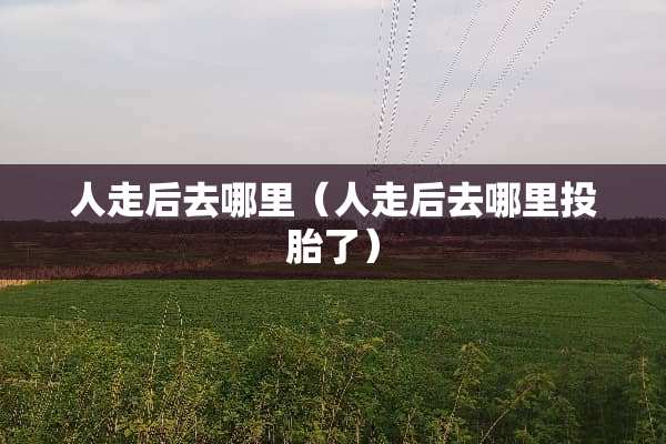 人走后去哪里（人走后去哪里投胎了）